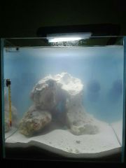 533066977 1327757141 Big