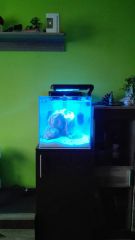 15542014 1242254205844672 1232425751183348057 N