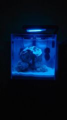 15665862 1242253645844728 8146139128432615104 N