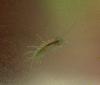 post-11106-0-17830200-1313999560_thumb.jpg