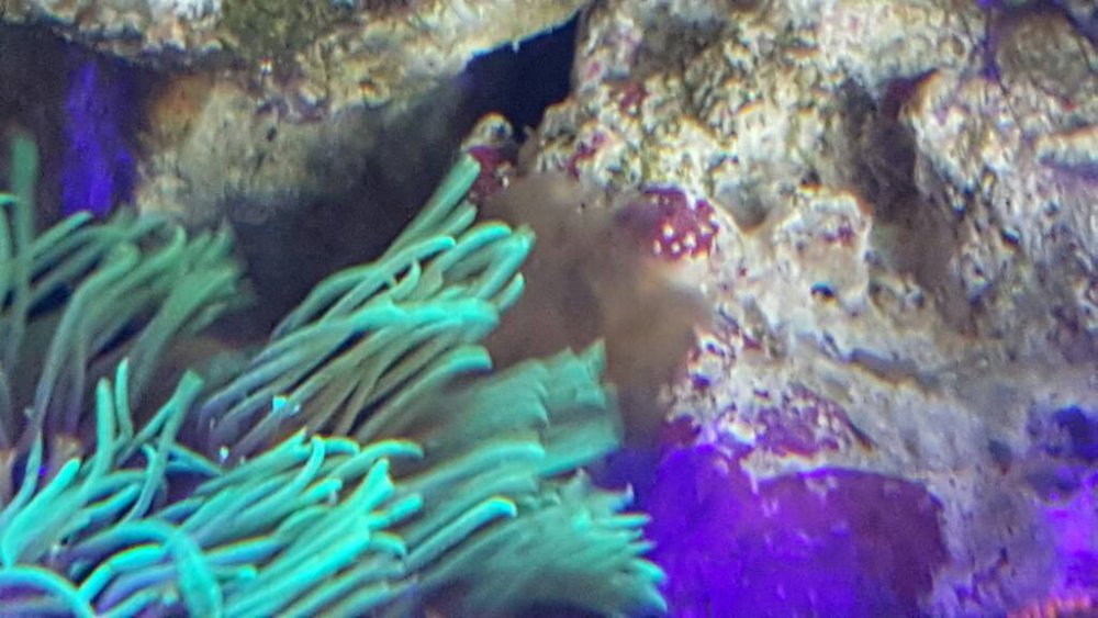 20170105_122020.thumb.jpg.0ae2a62ee1d103