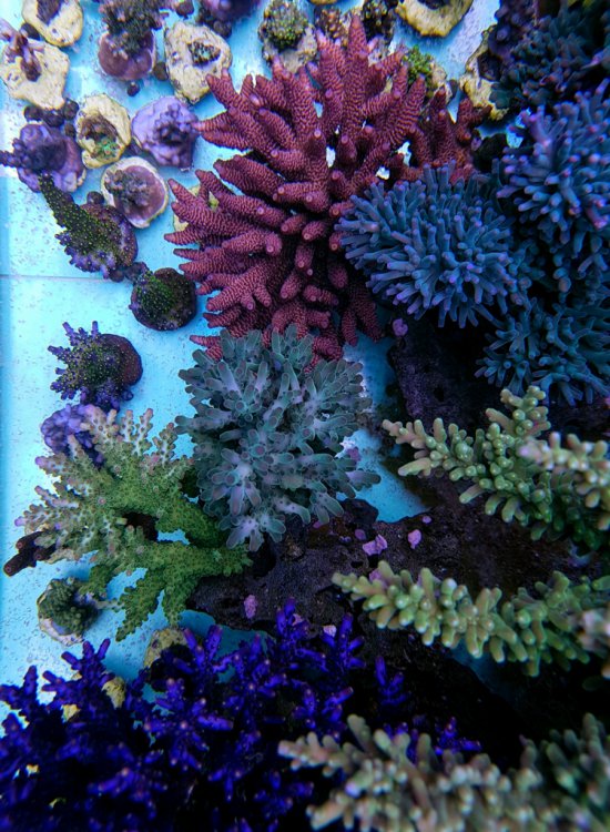 20170112_131750 [1024x768].jpg