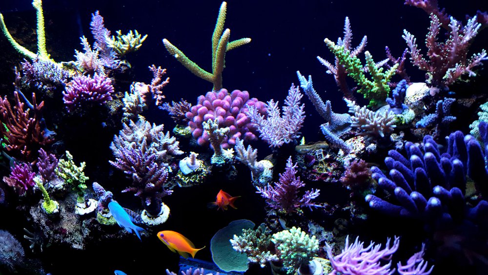 2017-01-13 17.47.32.jpg