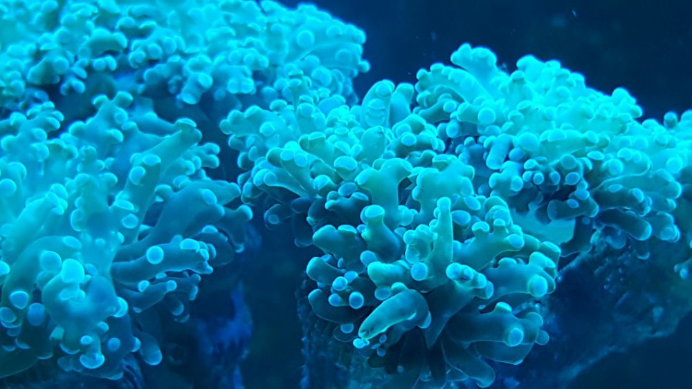 2017-01-18 19.25.09.jpg