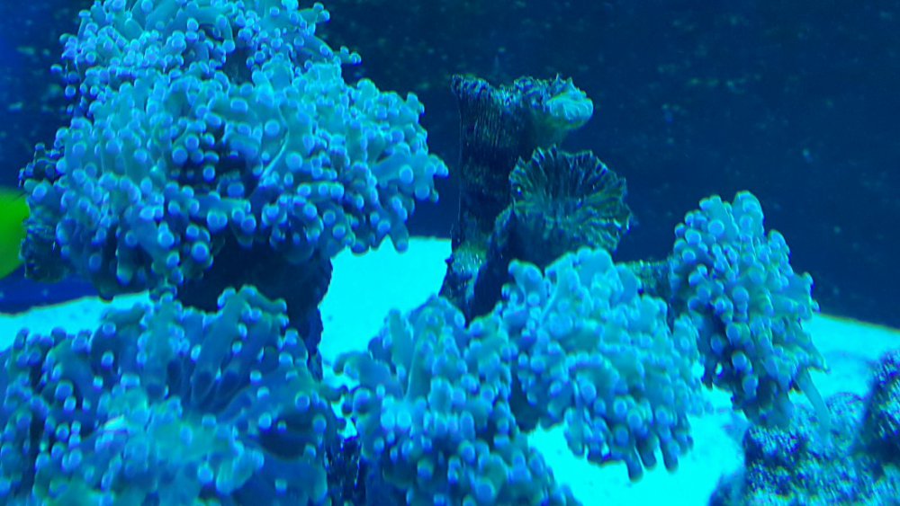 2017-01-18 19.12.18.jpg