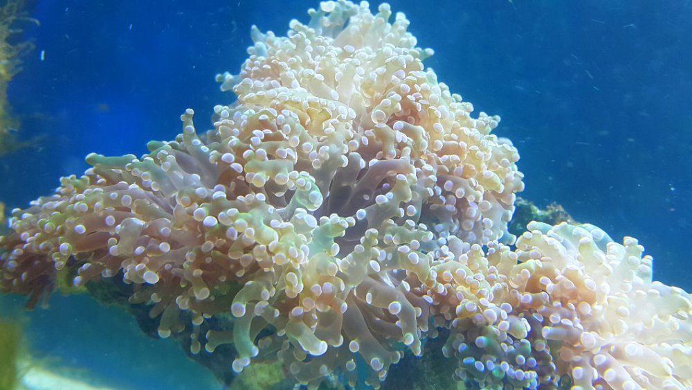 2017-01-20 06.50.02.jpg