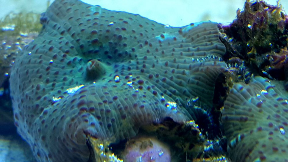 2017-01-20 06.48.09.jpg