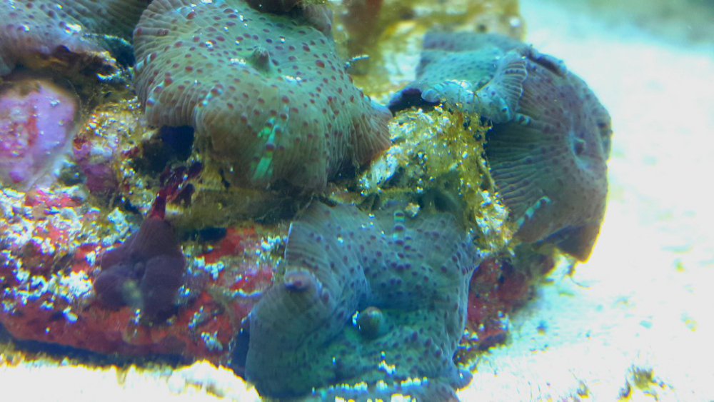 2017-01-20 06.47.34.jpg