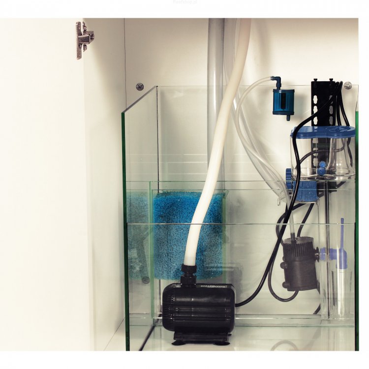 AM Cubisus CF sump.jpg