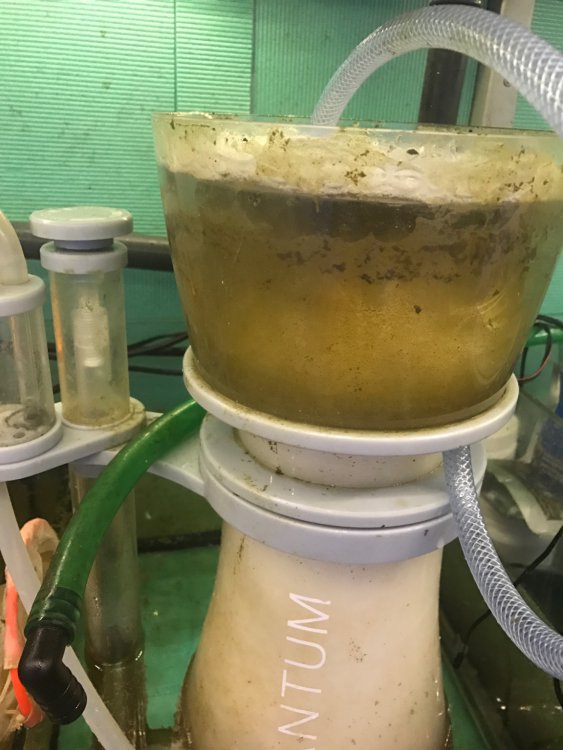 IMG_2361.thumb.JPG.398b5acee9e665ce0045c