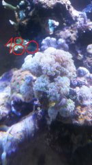 20170116-183717.jpg
