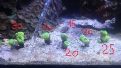 20170116_205932.jpg