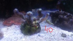 20170117_191733.jpg