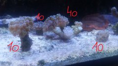 20170117_191741.jpg