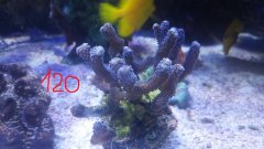 20170117_212955.jpg