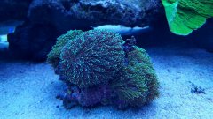 20170124_192109.jpg