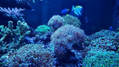 20170124_192159.jpg