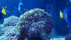 20170124_192206.jpg