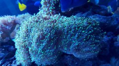 20170124_192214.jpg