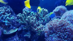 20170124_192227.jpg