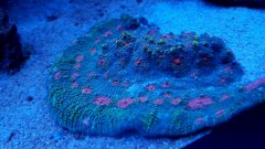 20170124_192331.jpg
