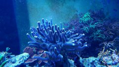 20170124_192513.jpg