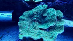 20170124_192845.jpg