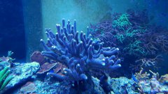 20170124_192919.jpg