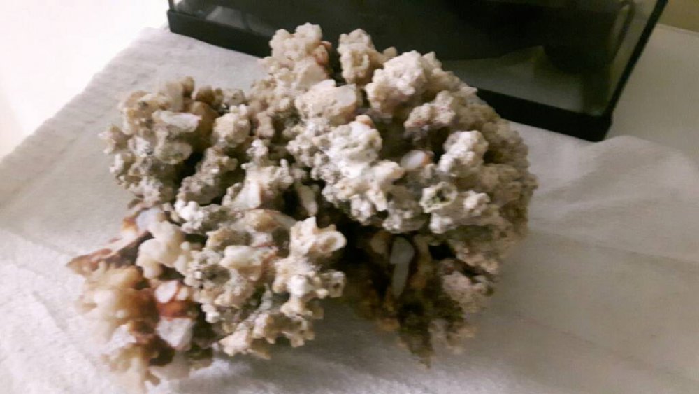 20170222_164738.thumb.jpg.25da062628afb0