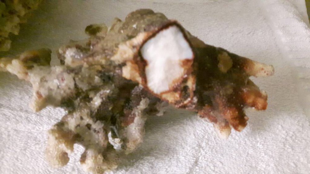 20170222_164752.thumb.jpg.3fbc4fd13a7250