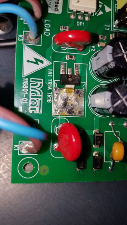 20170205_170708 (Large).jpg