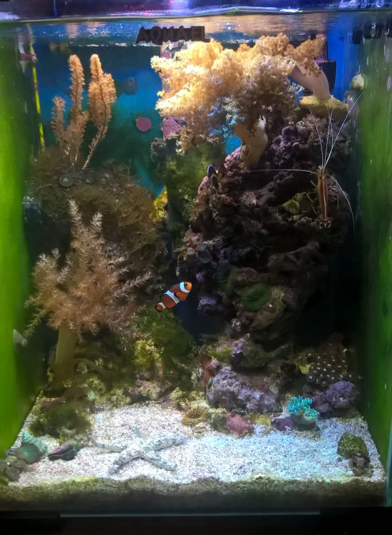 WP_20170220_21_13_50_Pro — kopia.jpg