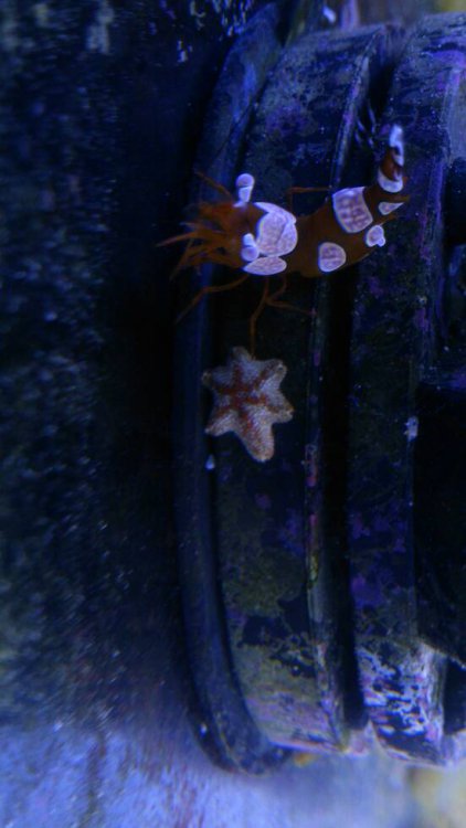 DSC_0548.thumb.jpeg.52b0e9351437e878855f