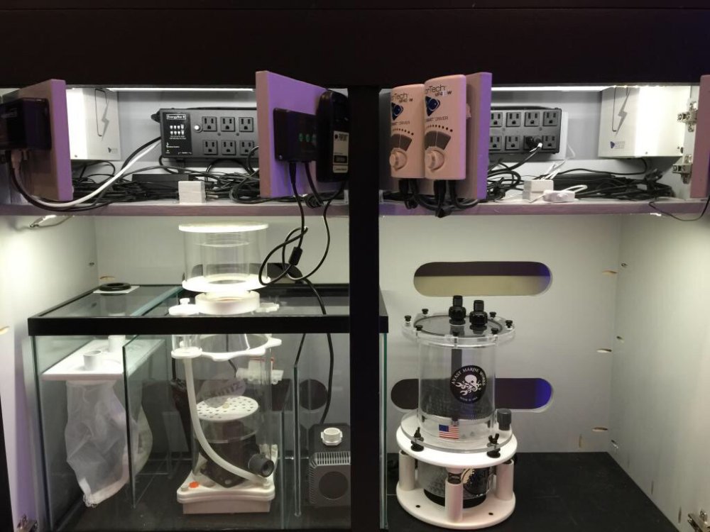 IMG_1958.thumb.JPG.f62f76b6135253ab2d2db