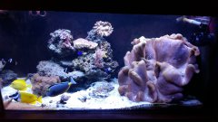 20170204-171722.jpg