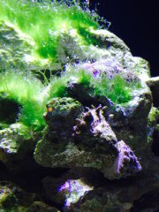 a takie były początki (miesiąc po założeniu)