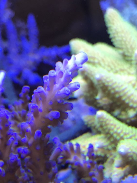 369C072C-C9C6-4429-972F-ED97646B0F06-304