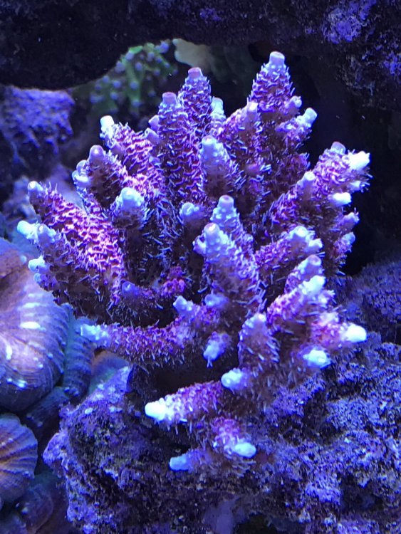 46B6F951-C2A6-4F09-8C8D-125223160DA3-304