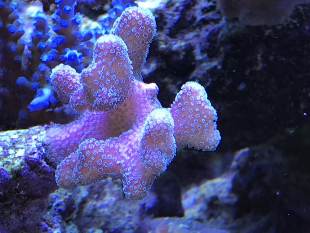 4BFF78F0-0B42-4A6A-A0D0-7BBB6C7E2B52-304