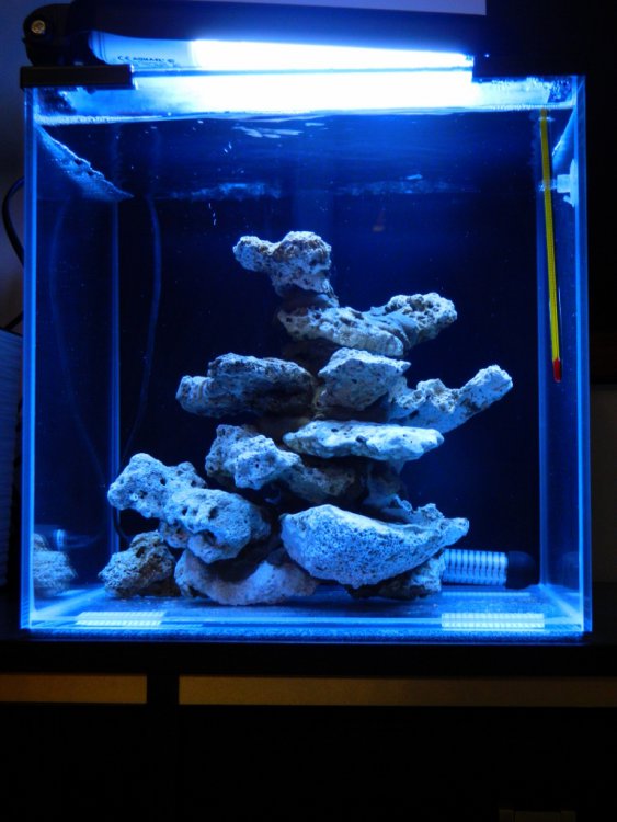 DSCN2349 (768x1024).jpg