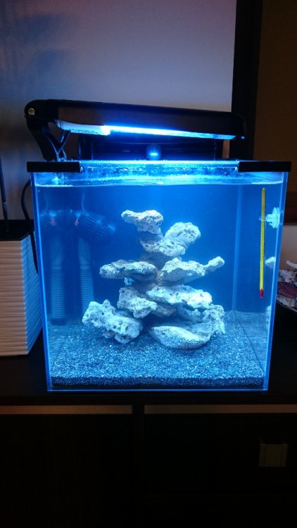 DSC_1712 (576x1024).jpg