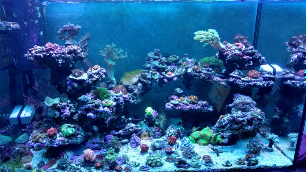 IMG_20170315_172941882_HDR (Kopiowanie).jpg