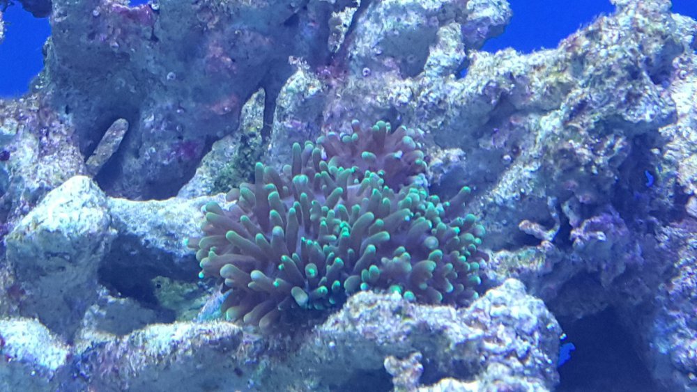 2017-03-16 19.38.32.jpg