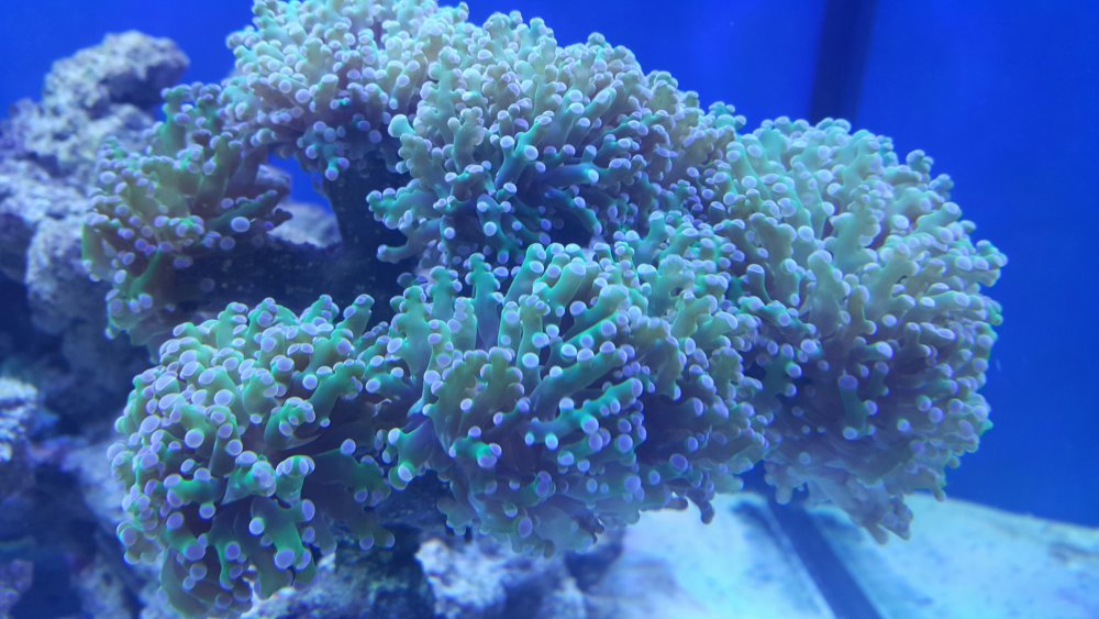 2017-03-17 04.49.41.jpg