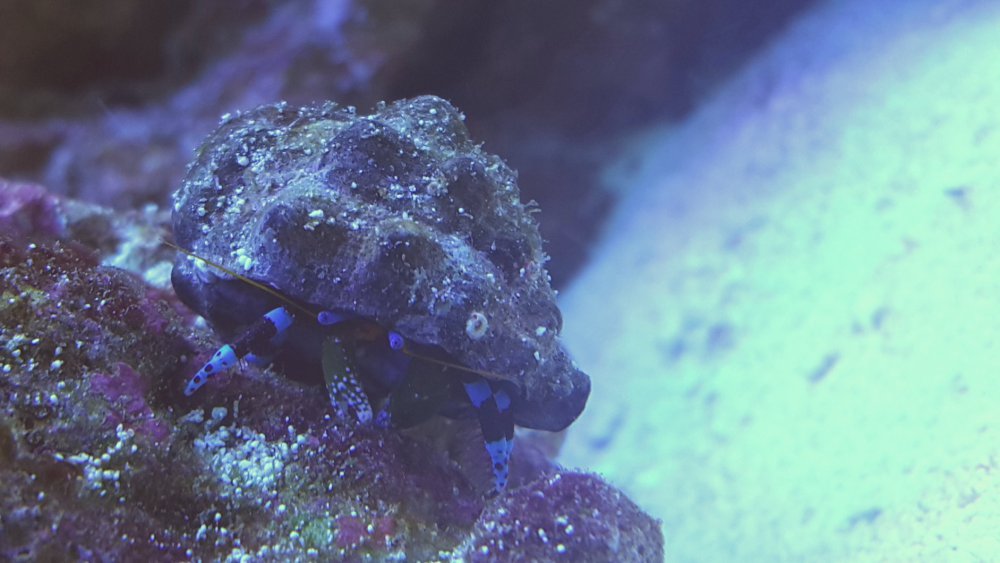 2017-03-17 04.51.21.jpg