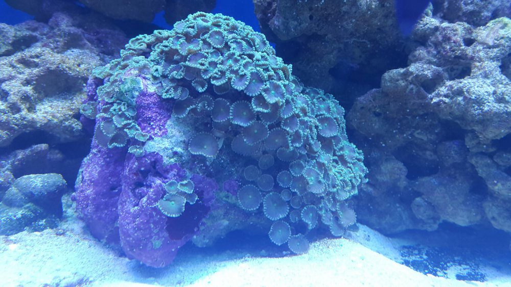 2017-03-17 04.51.40.jpg