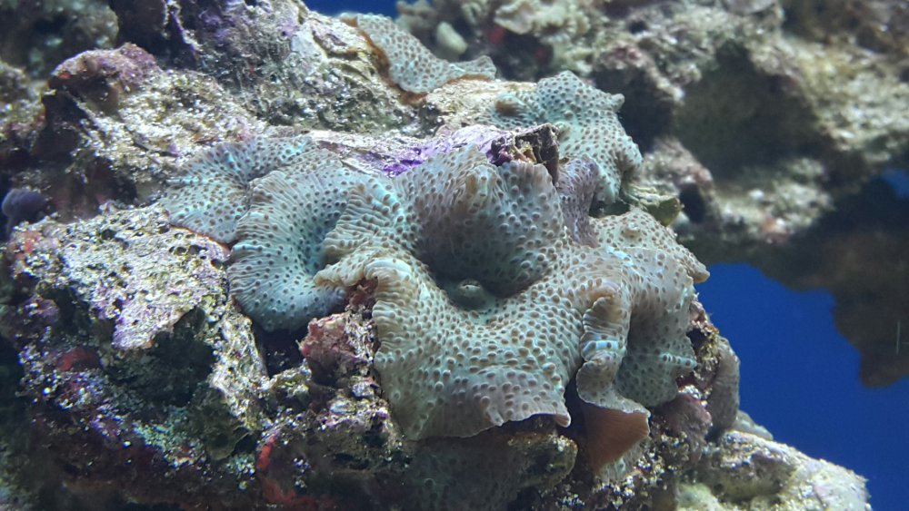 2017-03-17 04.52.06.jpg