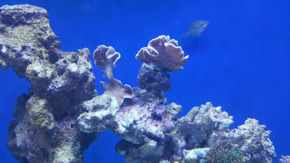 2017-03-17 04.52.31.jpg