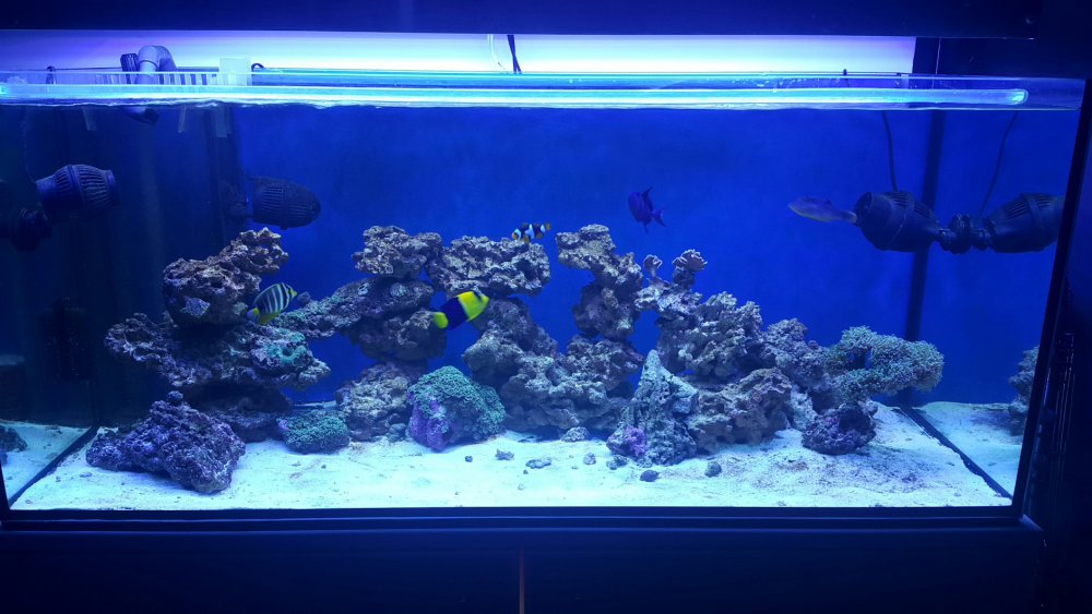 2017-03-17 07.23.31.jpg