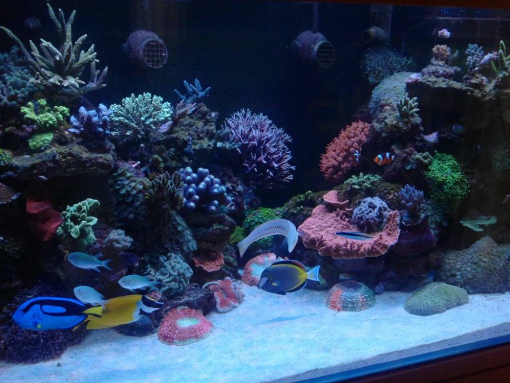 58cd34e2501f2_2012-05-0509_06_52.thumb.j